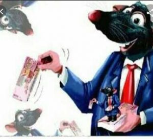 Tokoh Muda Papua Dukung Kejari Periksa Walikota dan Ketua DPRD Sorong, Terkait Dugaan Korupsi Pengadaan ATK