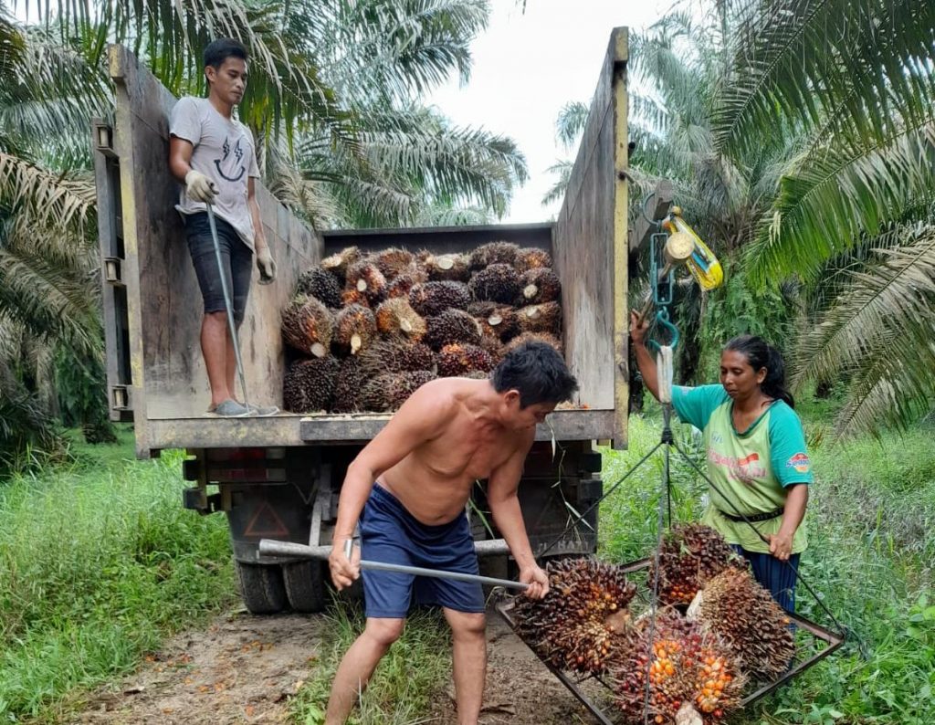 Campuri Urusan Petani dan Koperasi, Kejati Riau Offside, Jaksa Agung Didesak Tegur Bawahan-nya. Campuri Urusan Petani dan Koperasi, Kejati Riau Offside, Jaksa Agung Didesak Tegur Bawahan-nya.