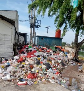 Merasa Geram dengan Tumpukan Sampah di Setu Rawa Besar, Begini Seruan Ketua IPAR 