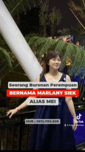 NGERI !! Mei Seorang Perempuan DPO Diklaim Telah Lakukan Perbuatan Pidana