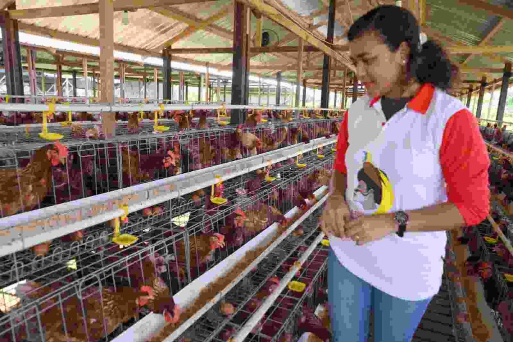 Sebagai Pusat Kreativitas, Berbagai Tokoh Papua Dukung Peresmian Gedung PYCH Sebagai Pusat Kreativitas, Berbagai Tokoh Papua Dukung Peresmian Gedung PYCH