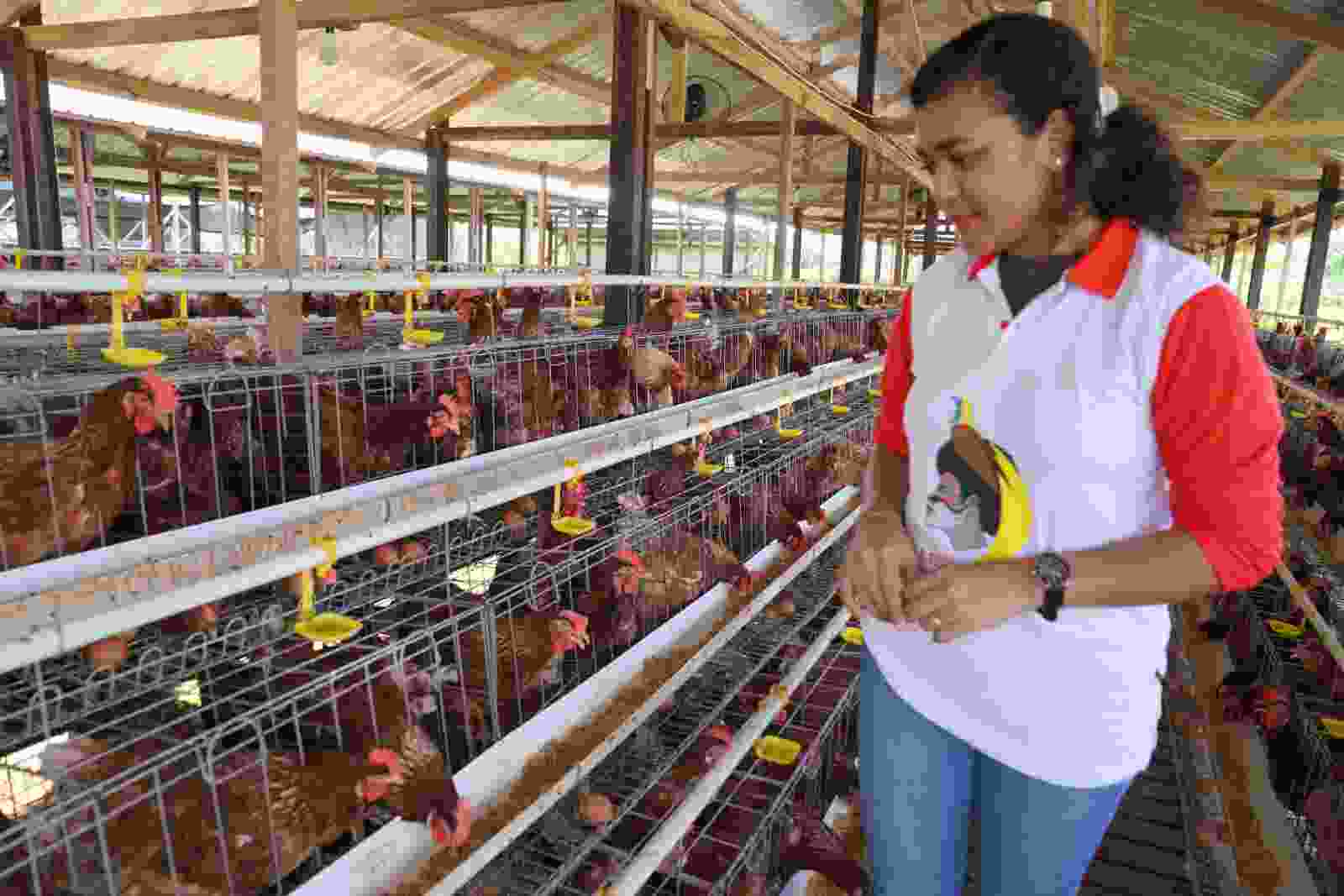 Sebagai Pusat Kreativitas, Berbagai Tokoh Papua Dukung Peresmian Gedung PYCH