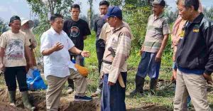 Hari Pangan Sedunia 2023 Fokus pada Lingkungan dan Pertanian, Agrokonservasi Guna Meningkatkan Hasil Pertanian dengan Pelestarian Lingkungan Dampak Perubahan Iklim