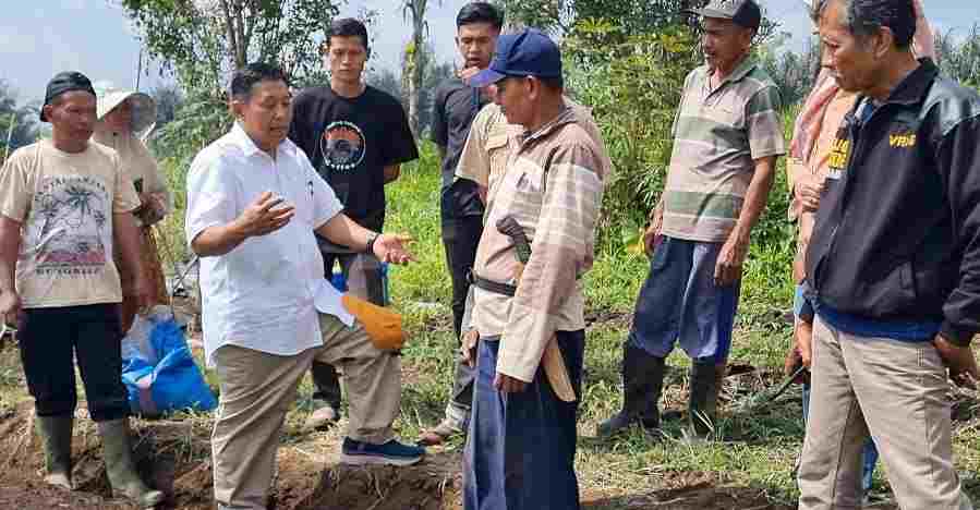 Hari Pangan Sedunia 2023 Fokus pada Lingkungan dan Pertanian, Agrokonservasi Guna Meningkatkan Hasil Pertanian dengan Pelestarian Lingkungan Dampak Perubahan Iklim Hari Pangan Sedunia 2023 Fokus pada Lingkungan dan Pertanian, Agrokonservasi Guna Meningkatkan Hasil Pertanian dengan Pelestarian Lingkungan Dampak Perubahan Iklim