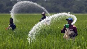 Paguyuban Distributor Pupuk Non Subsidi Seluruh Indonesia “Deklarasikan Dukungan Terhadap Pemerintah” dalam Membuka Akses Pasar Pupuk Non Subsidi