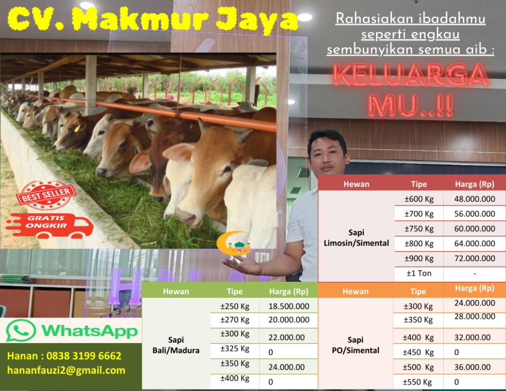 CV. MAKMUR JAYA “Layani Pembelian Hewan Qurban Untuk Masyarakat Seluruh Negeri” Hubungi Untuk Pemesanan : 0838-3199-6662