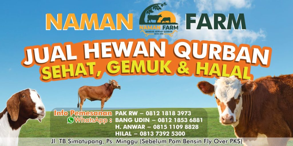 NAMAN FARM “Sedia Melayani Permintaan Jual Beli Hewan Qurban Dalam Jumlah Skala Besar” Hub : 0812-1818-3973.