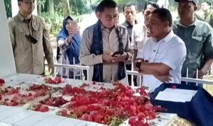 Makam Raja Jacob Ponto Jadi Simbol Persatuan: Keluarga Besar Sampaikan Terima Kasih kepada Menteri Kebudayaan