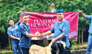 MOMEN IDUL ADHA 2026, CITIMALL CIMANGGIS BAGIKAN HEWAN KURBAN UNTUK MASYARAKAT SEKITAR