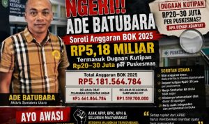 Ade Batubara Soroti Anggaran BOK Madina 2025 Rp5,18 Miliar, Minta Audit Dugaan Kutipan Rp20–30 Juta per Puskesmas