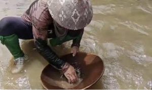 Paradoks Kebijakan Pertambangan Rakyat: Dilegalkan Sekaligus Dilumpuhkan Paradoks Kebijakan Pertambangan Rakyat: Dilegalkan Sekaligus Dilumpuhkan