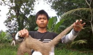 Tahanan Kasus Judi Online Jopi Sembiring Tewas di Rutan, Keluarga Pertanyakan Luka pada Tubuh dan Ketidakjelasan Status Rekan Penangkapan